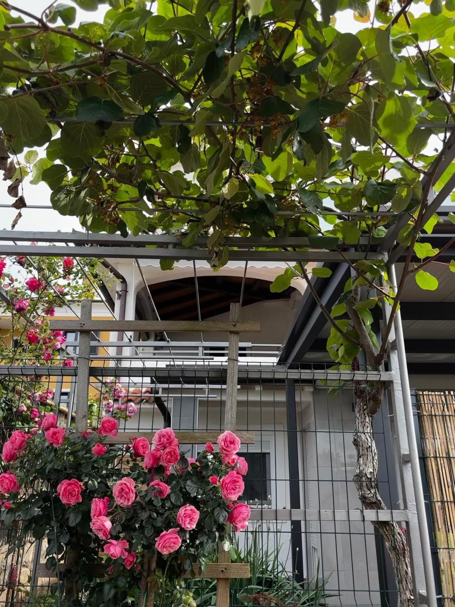 Apartmani Rozi 우마그 외부 사진